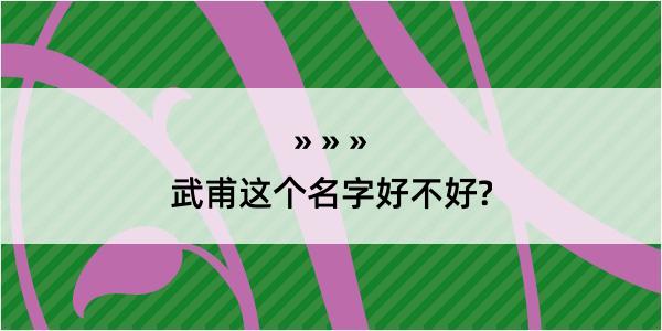 武甫这个名字好不好?