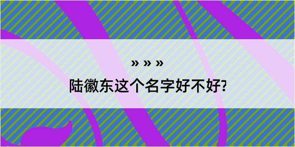 陆徽东这个名字好不好?