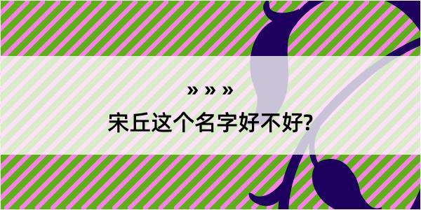 宋丘这个名字好不好?