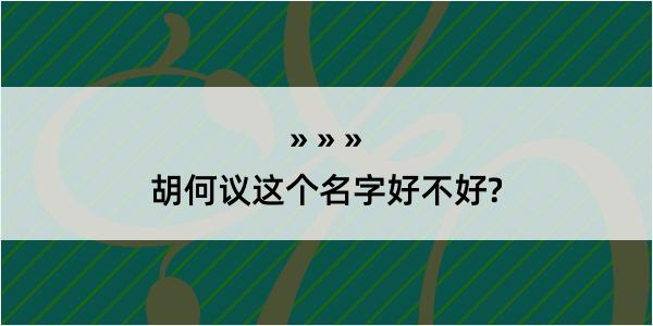 胡何议这个名字好不好?