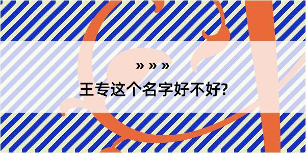 王专这个名字好不好?