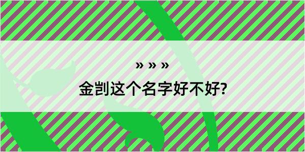 金剀这个名字好不好?