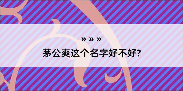 茅公爽这个名字好不好?