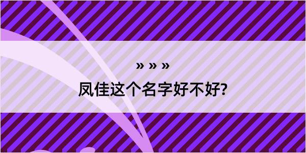 凤佳这个名字好不好?