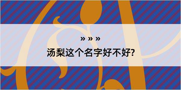 汤梨这个名字好不好?