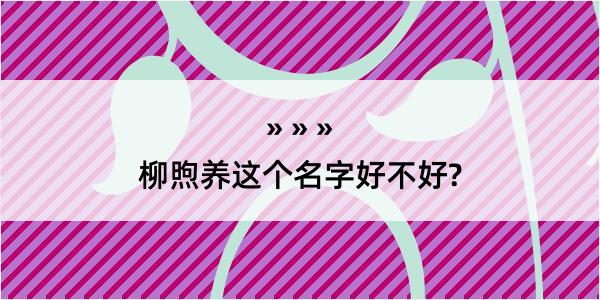 柳煦养这个名字好不好?