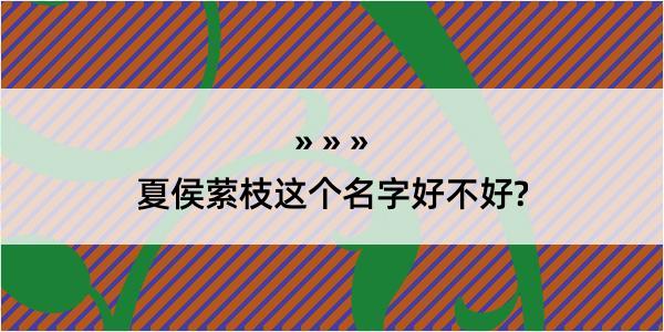 夏侯萦枝这个名字好不好?