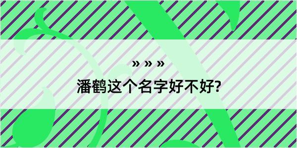 潘鹤这个名字好不好?