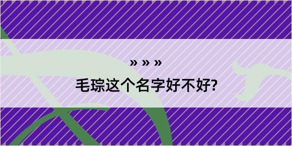 毛琮这个名字好不好?