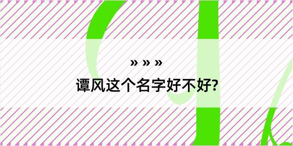 谭风这个名字好不好?