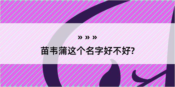 苗韦蒲这个名字好不好?