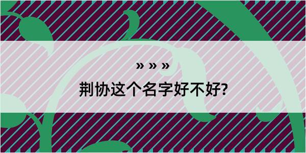 荆协这个名字好不好?