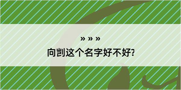 向剀这个名字好不好?