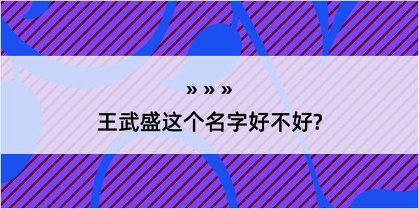 王武盛这个名字好不好?