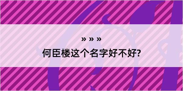 何臣楼这个名字好不好?