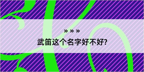 武笛这个名字好不好?