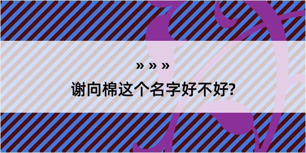 谢向棉这个名字好不好?