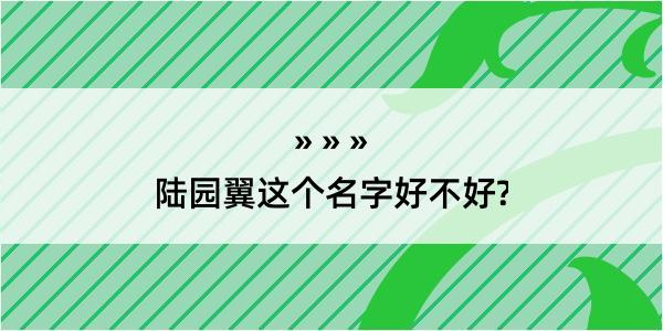 陆园翼这个名字好不好?