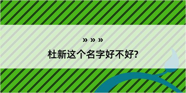 杜新这个名字好不好?