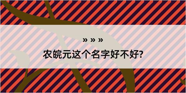 农皖元这个名字好不好?