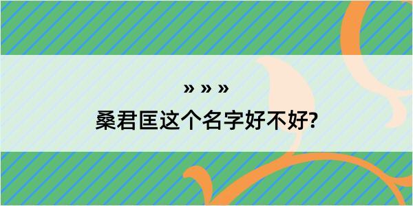 桑君匡这个名字好不好?