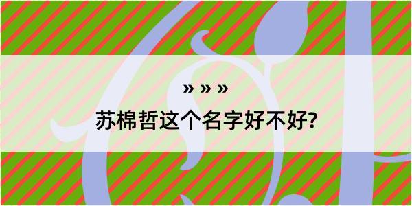 苏棉哲这个名字好不好?