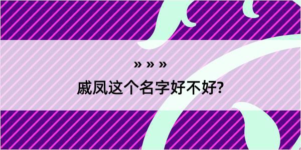 戚凤这个名字好不好?