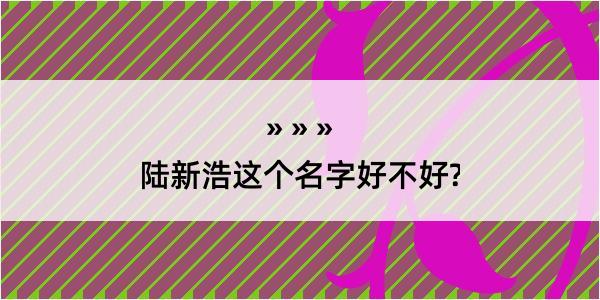 陆新浩这个名字好不好?