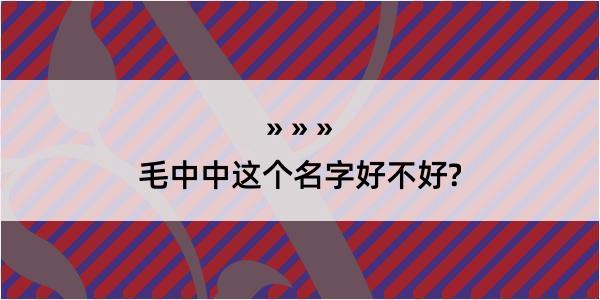 毛中中这个名字好不好?