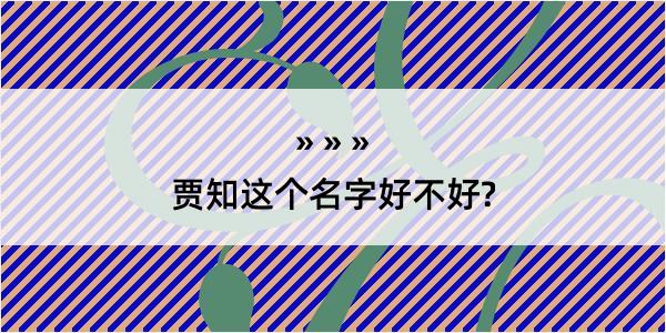 贾知这个名字好不好?