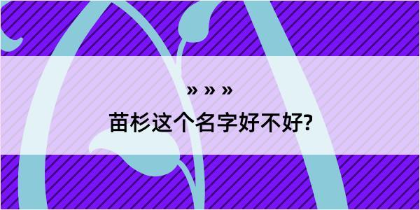 苗杉这个名字好不好?