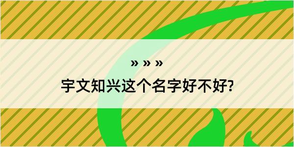 宇文知兴这个名字好不好?