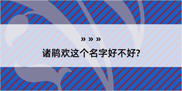 诸鹃欢这个名字好不好?