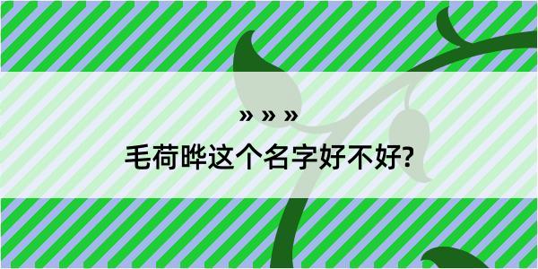 毛荷晔这个名字好不好?