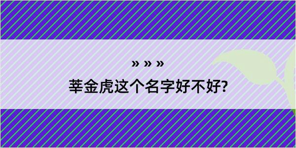 莘金虎这个名字好不好?