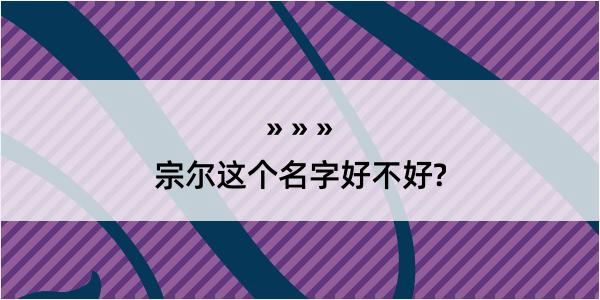 宗尔这个名字好不好?