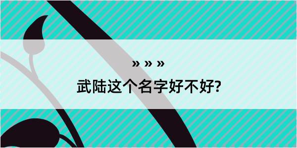 武陆这个名字好不好?