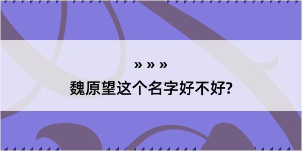 魏原望这个名字好不好?