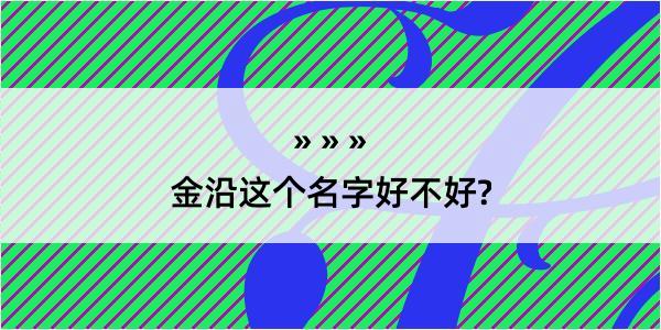 金沿这个名字好不好?