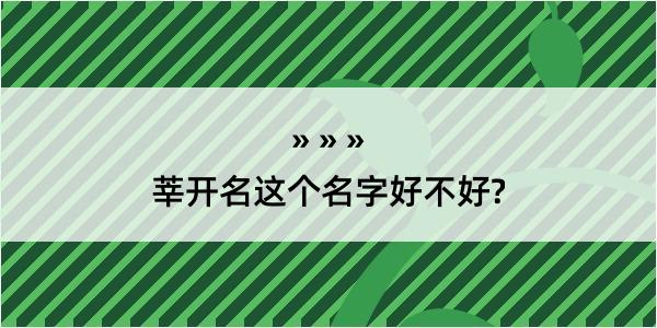 莘开名这个名字好不好?