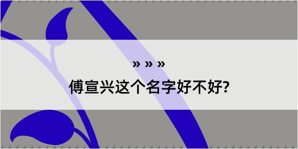 傅宣兴这个名字好不好?