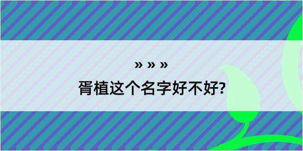 胥植这个名字好不好?