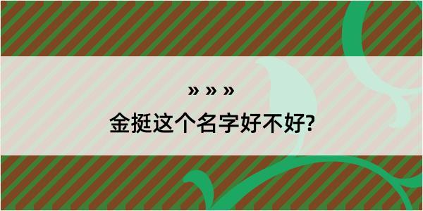 金挺这个名字好不好?