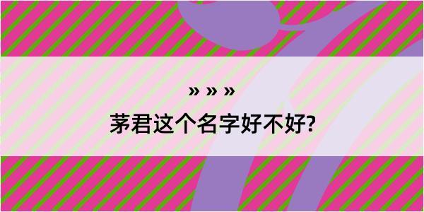 茅君这个名字好不好?