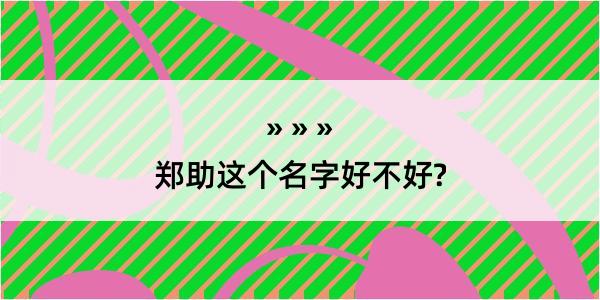 郑助这个名字好不好?