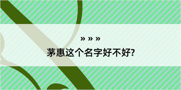 茅惠这个名字好不好?