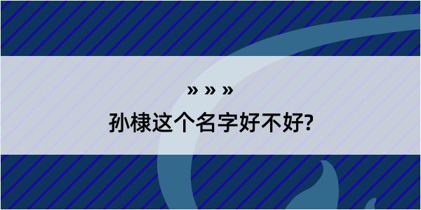 孙棣这个名字好不好?