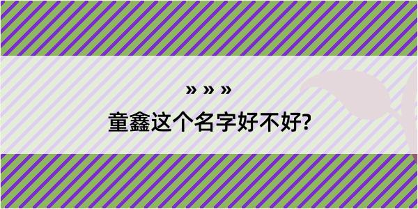 童鑫这个名字好不好?