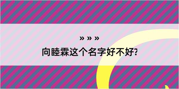 向睦霖这个名字好不好?