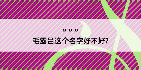 毛露吕这个名字好不好?